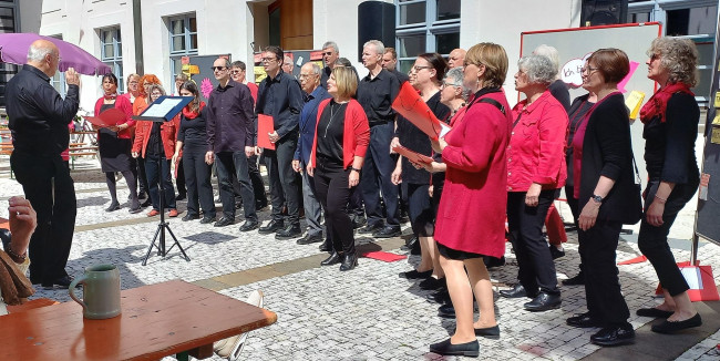 Stephansfest 27.04.2025